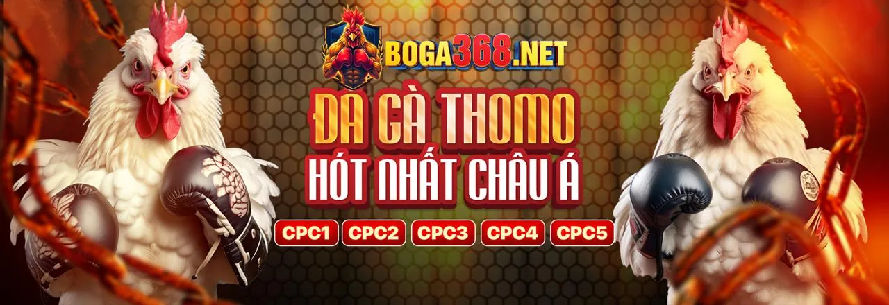 Sân đấu đá gà trực tuyến kịch tính tại Cbvip Link Mới